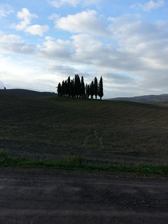 Passaggio In Val D' Orcia Apartment Torrenieri Exterior foto